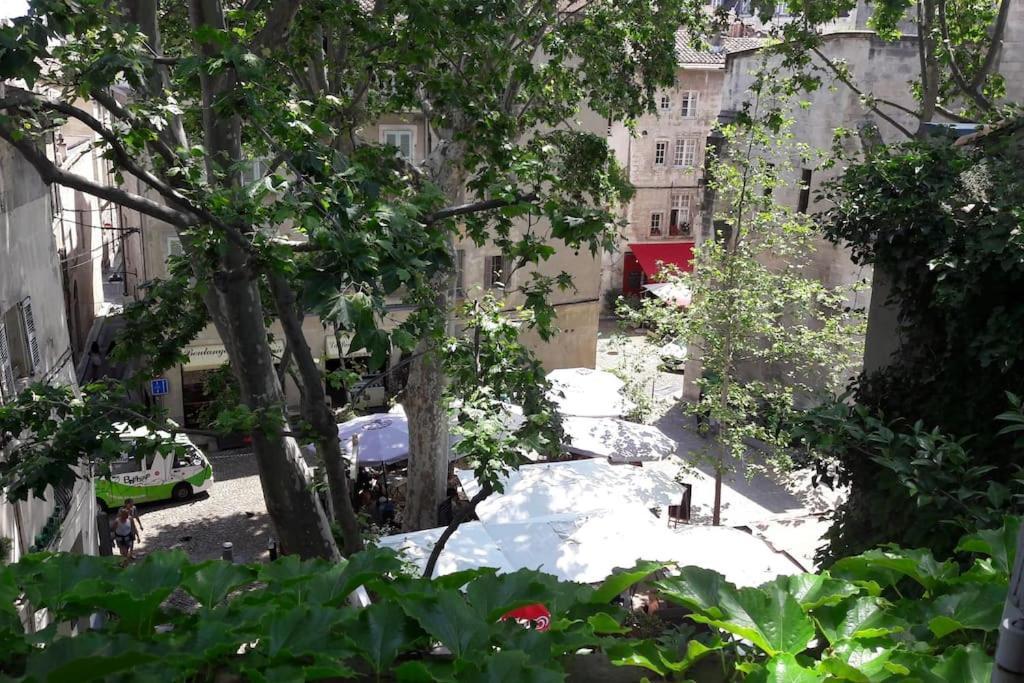 شقة Renove, Vue Sur Palais Des Papes, Terrasse Et Wifi Troisieme Etage أفينيون المظهر الخارجي الصورة
